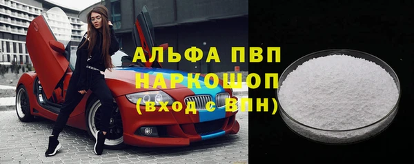 ECSTASY Магас