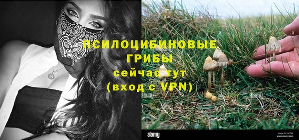 ECSTASY Магас