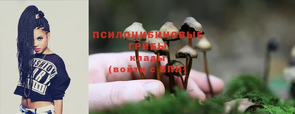 мяу мяу мука Майский