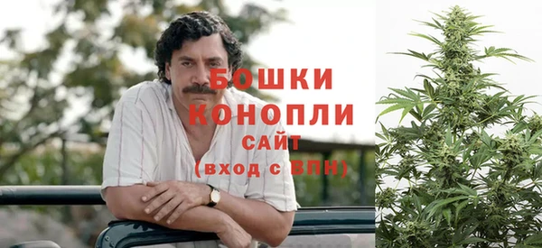винт Липки