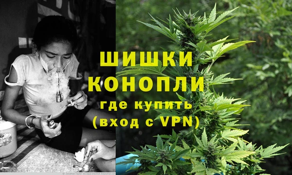 винт Липки